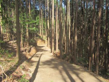 路網整備の状況