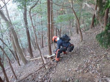 森林整備の状況